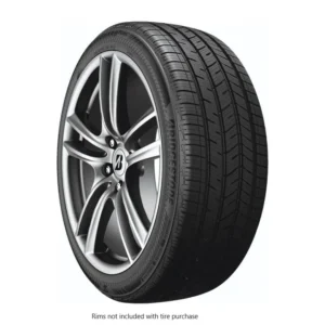 BRIDGESTONE DRIVEGUARD PLUS RFT Run-Flat Tire 235/65R17 BW 104 H 2356517 006446